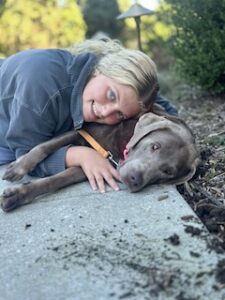 Silver Labrador Retriever