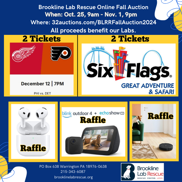 online Fall Auction, fundraiser, BLRR Online Auction