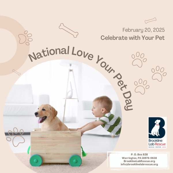 Love Your Pet Day