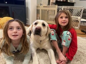 Yellow Labrador Retriever and 2 girls