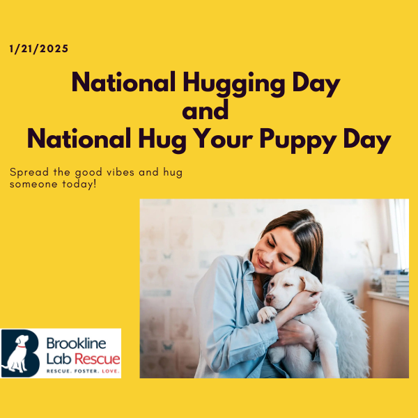 National Hugging Day; National Hug Your Puppy Day; good vibes; hug someone today