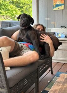 Black Labrador Retriever Mix