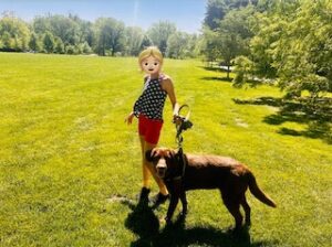 Chocolate Labrador Retriever