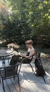 Black Labrador Retriever mix