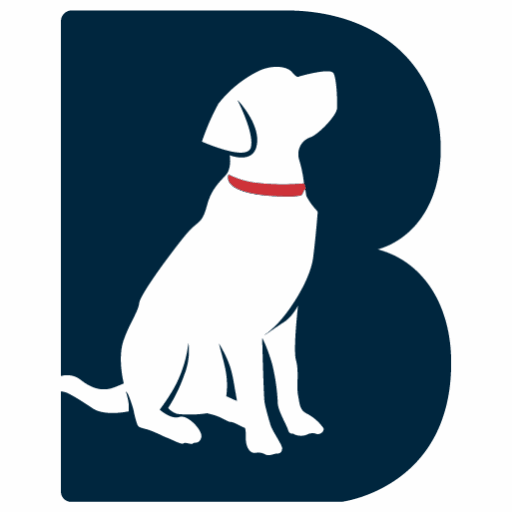 Brookline Labrador Retriever Rescue Inc logo