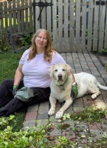 Yellow Labrador Retriever