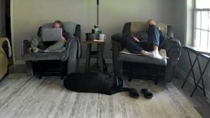 Black Labrador Retriever