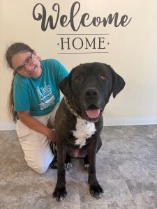 Fernie Black Labrador Retriever Mix Female 5 Years Old ID#3300