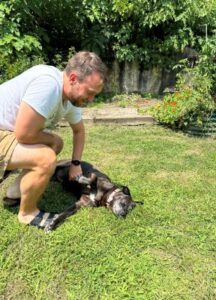 Labrador Retriever Mix