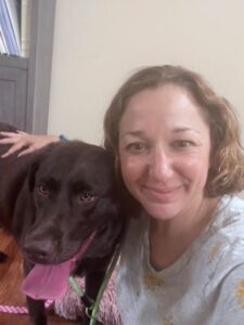 Chocolate Labrador Retriever