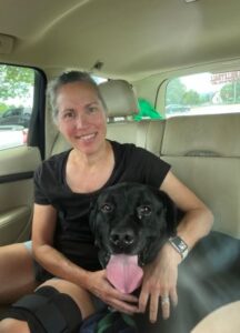 black labrador retriever