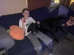 Black Labrador Retriever