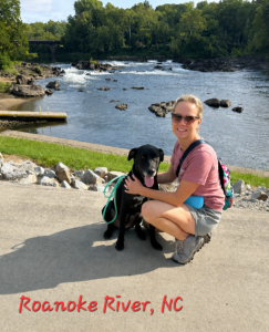 Black Labrador Mix