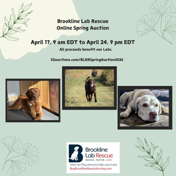 BLRR event announcement for Online Spring Auction 2026