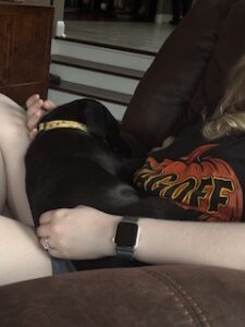 Black Labrador Mix