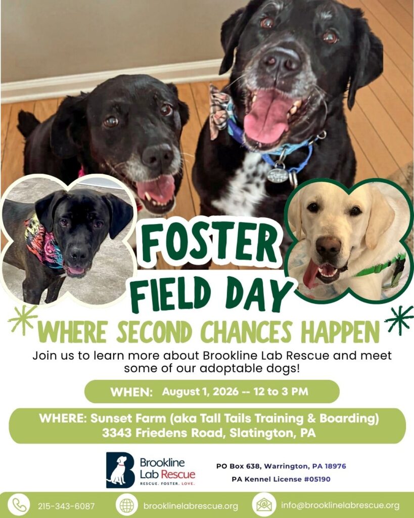 Invitation to Foster Field Day being held on August 1, 2026 from 12 pm to 3 pm at Sunset Farm in Slatington, PA