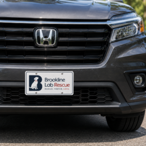Brookline Lab Rescue aluminum license plate mounted on the front of a gray SUV displaying the official Brookline Lab Rescue logo.
