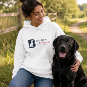 Brookline Lab Rescue Unisex Adult Pullover Hoodie
