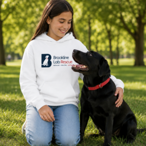 Girl wearing the Brookline Lab Rescue youth hoodie while spending time with a black Labrador in a park.