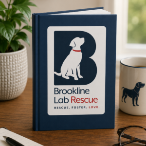 Brookline Lab Rescue hardcover journal standing on a wooden desk beside a coffee mug, plant, and stationery in a bright home office setting.