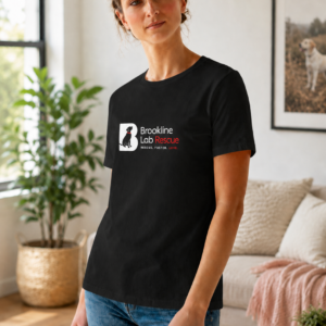 Woman wearing a black Bella + Canvas Brookline Lab Rescue logo t shirt in a bright living room. The shirt features a white and red Brookline Lab Rescue logo designed for dark apparel with a white "B," transparent black Labrador silhouette, and bright red accents.