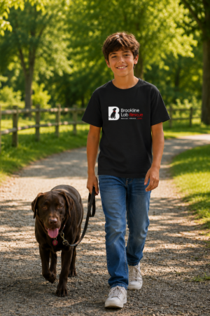 Boy wearing a black Gildan 5000B Brookline Lab Rescue youth T shirt while walking a chocolate Labrador Retriever on a tree lined trail.
