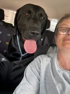 Griffen #2 Black Labrador Mix Male ~2 Years Old