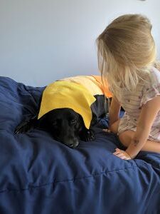 Lilly #12 Black Labrador Retriever Female 7 Years Old ID #3694