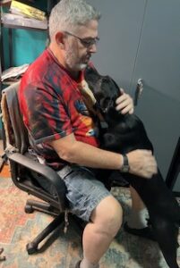 Mary Black Labrador Retriever Mix Female ~1 Year 4 Months Old