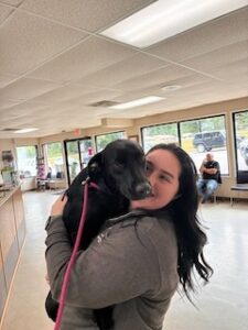 Mary Black Labrador Retriever Mix Female ~1 Year 4 Months Old