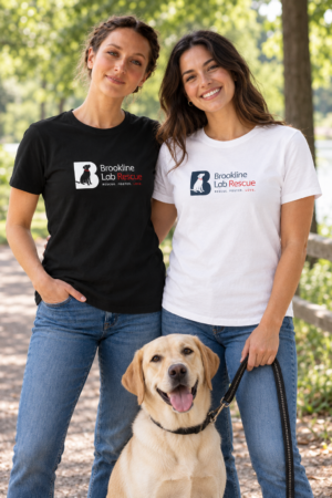 Ladies Short Sleeve Tee Shirts