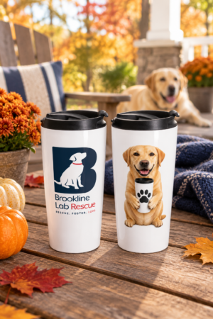 Stainless Steel Travel Mug 15 oz