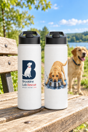 Labrador Stainless Steel Water Bottles