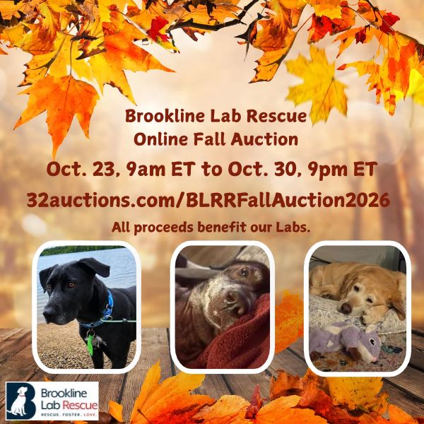 Online Fall Auction runs Oct. 23 at 9 am ET to Oct. 30 at 9 pm ET